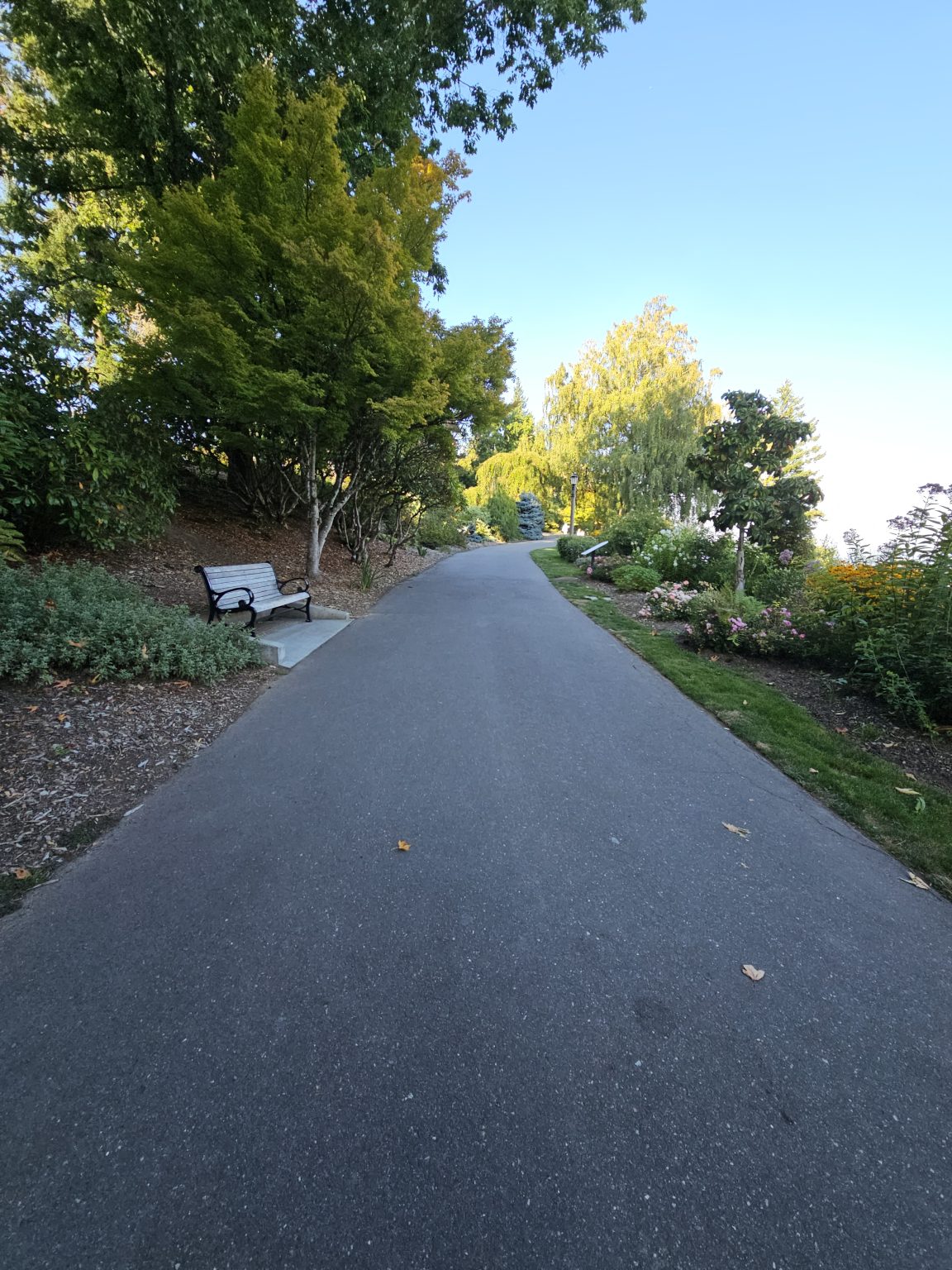 A peaceful pathway lined with trees on both sides, leading into the distance. A wooden bench is positioned along the path on the left, surrounded by lush greenery and colorful flower beds. The sky is clear with a hint of blue. Shot at Pittock Mansion, Portland.