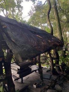 A rustic, open-air shelter made from wooden beams and a netted roof, surrounded by lush green foliage. 