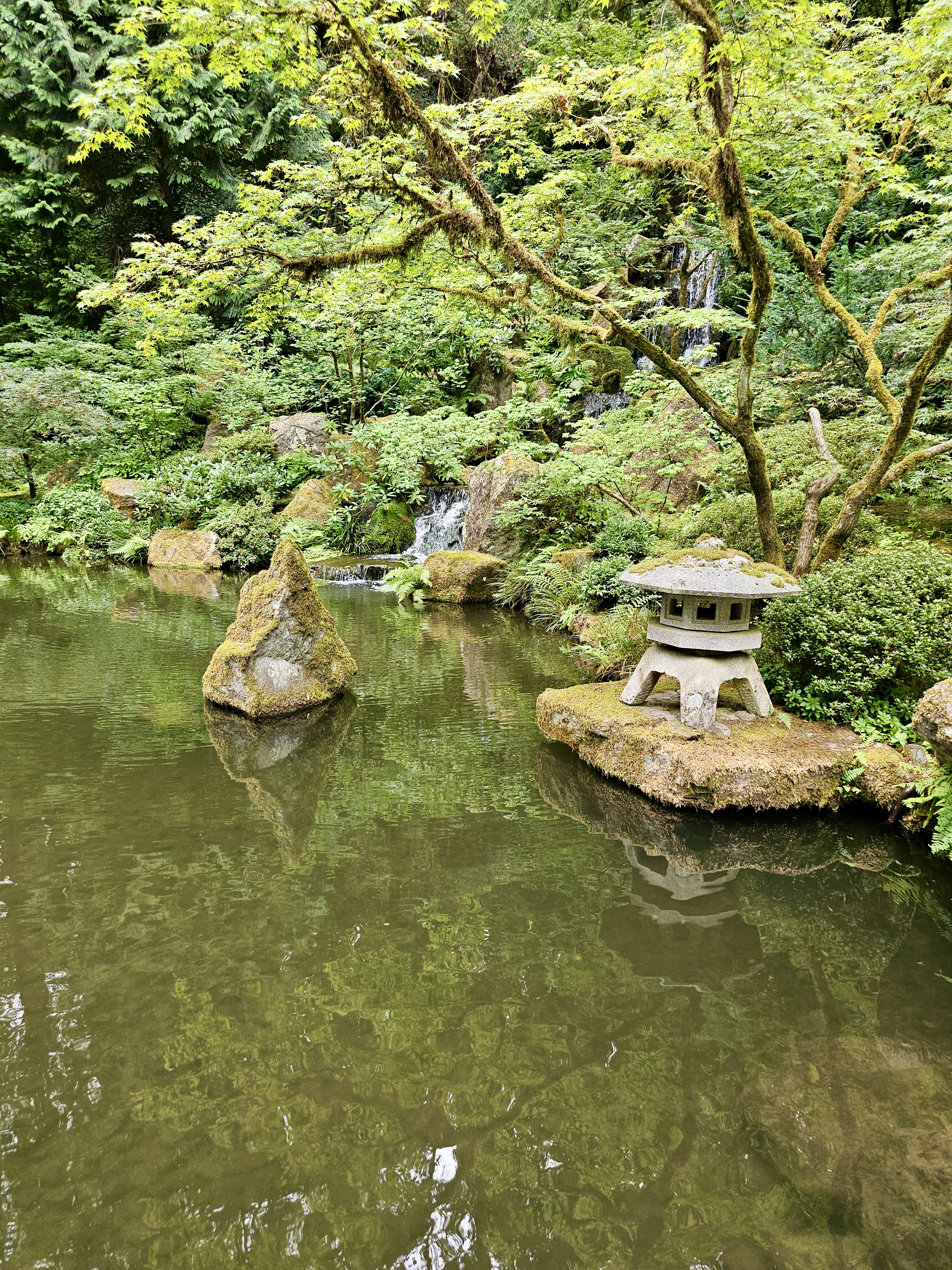 A stone lantern stands near a peaceful pond, with a waterfall and moss-covered rocks in the background at the Portland Japanese Garden. 