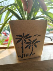 A close-up image of a decorative plant pot made of a light-colored material. 