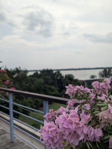 Pink bougainvillea flowers on a balcony railing with a river and cloudy sky in the background.
