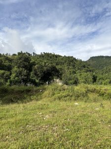 A serene landscape depicting a lush, green hillside under a partly cloudy sky.