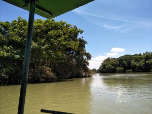 A serene lake scene viewed from a boat, with lush green trees lining the banks.