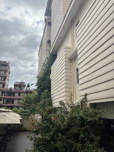 A view of a modern building's exterior with a beige and white striped facade, partially covered by green foliage. 