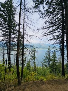 Tall evergreen trees line the edge of a hiking trail with a scenic view of the Columbia River and forested hills in the distance. Columbia River Gorge National Scenic Area, Oregon. 
