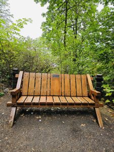 A wooden bench is placed along a trail, surrounded by lush green trees and forest vegetation, and situated within the Columbia River Gorge National Scenic Area, Oregon. 