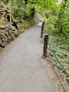 A forest pathway bordered with stone walls and chains, winding through greenery, is captured in the Columbia River Gorge National Scenic Area, Oregon.