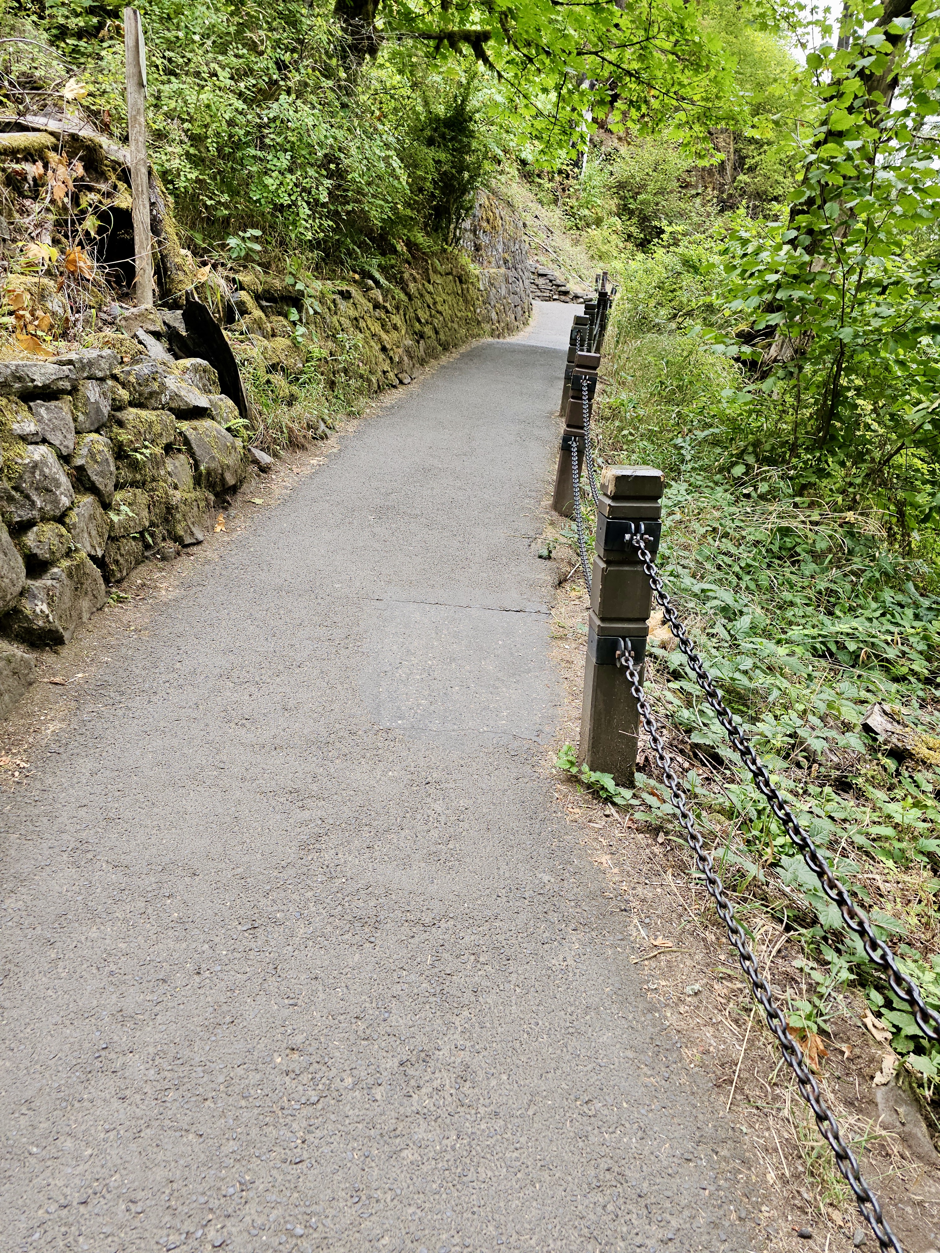 A forest pathway bordered with stone walls and chains, winding through greenery, is captured in the Columbia River Gorge National Scenic Area, Oregon.