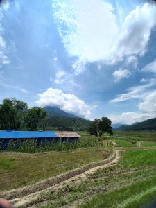 A scenic landscape featuring lush green fields and a dirt path winding through them.
