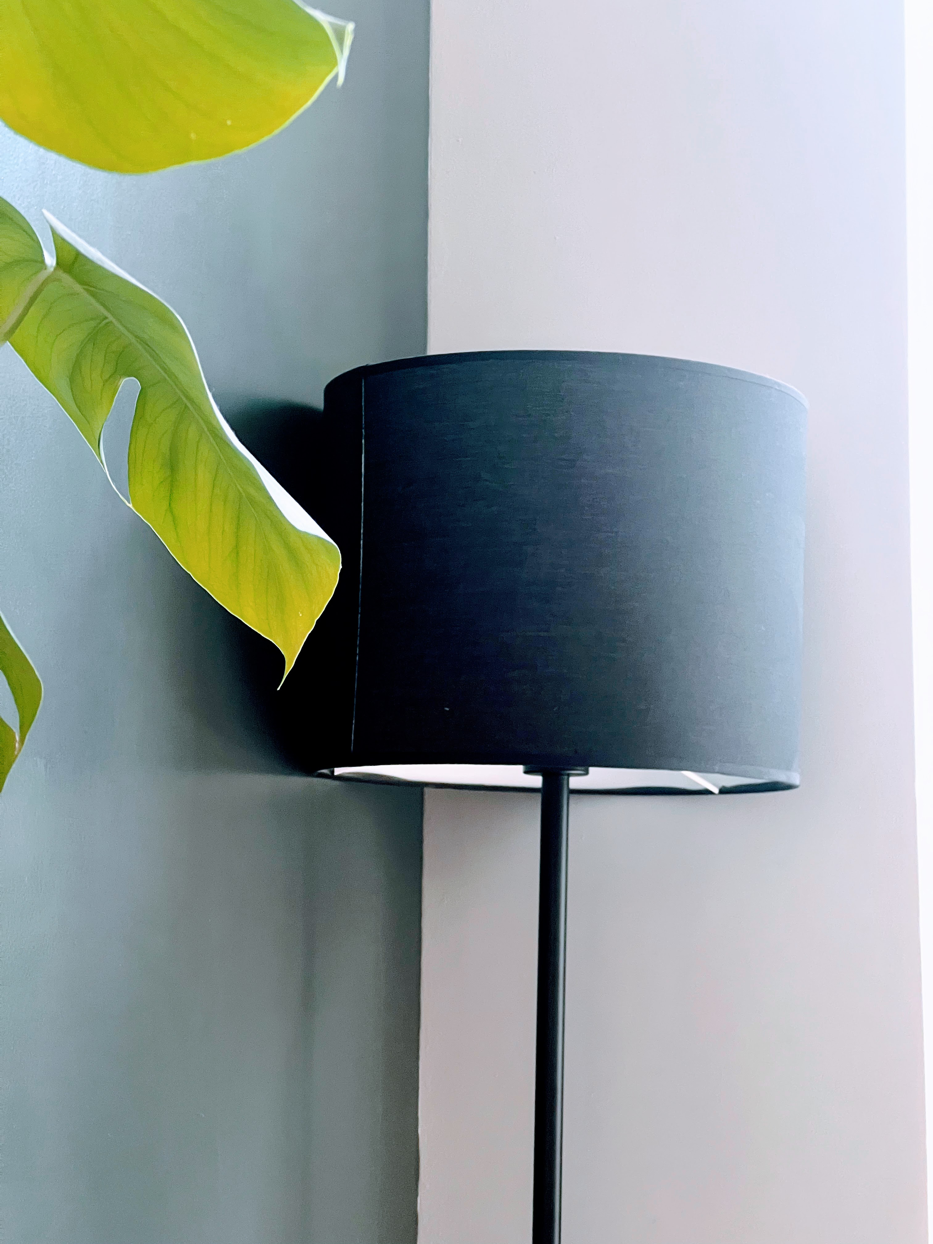 A close-up of a black floor lamp with a cylindrical shade standing in a corner where a dark green wall meets a pale beige wall. A large green leaf hangs over the lamp.