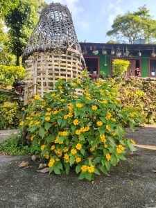 A woven bamboo structure, resembling a traditional basket, stands beside a lively bush blooming with vibrant yellow flowers