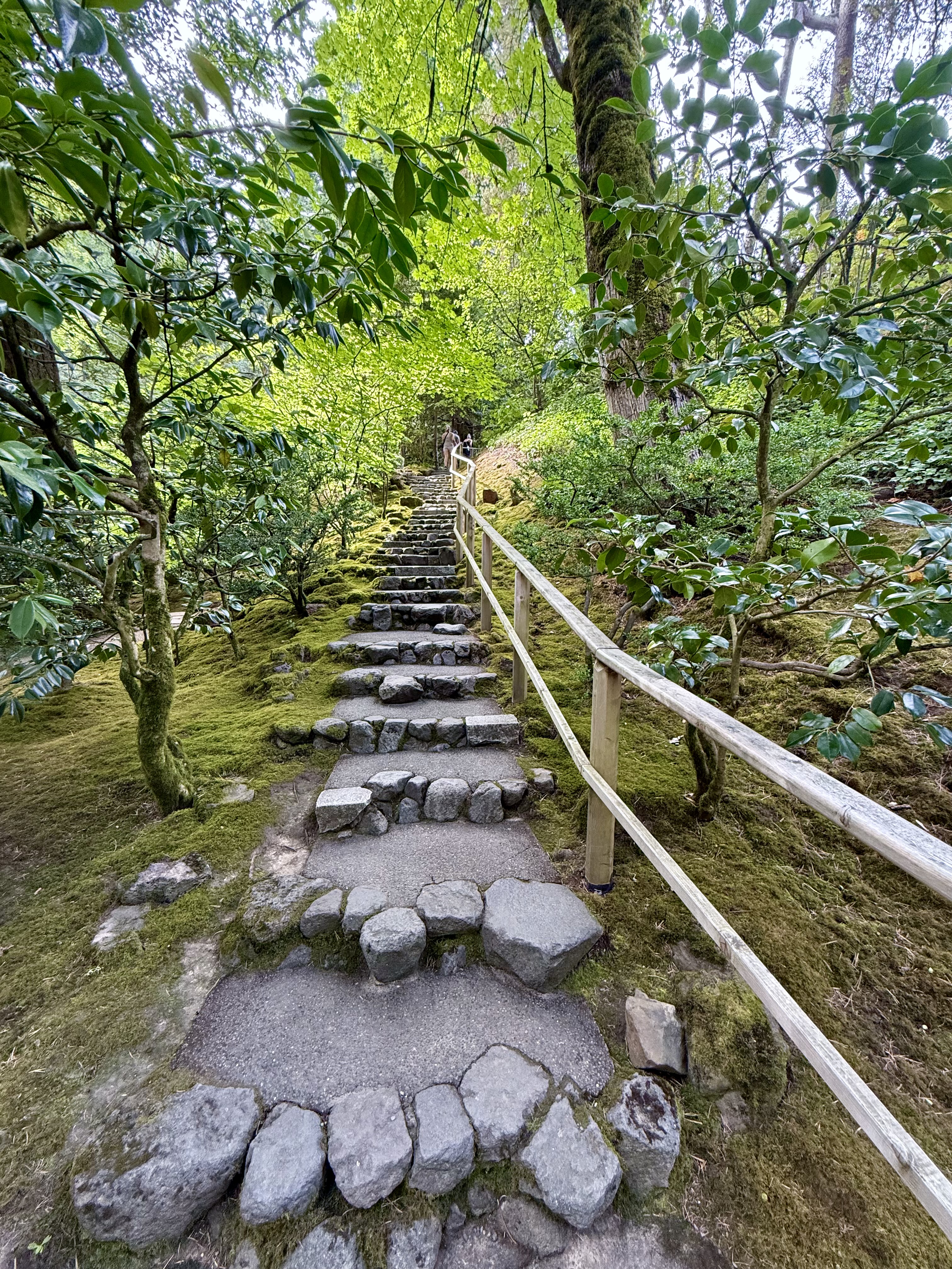 WordPress photo 62168d4136 | WordPress.org