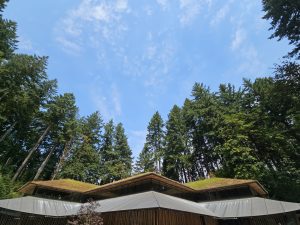 A modern roof with greenery on top, surrounded by tall green trees under a blue sky. Photo taken at Portland Japanese Garden. 