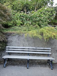 A quiet resting bench beside a stone wall with plants and flowers above it. Taken during the evening at Pittock Mansion, Portland. 