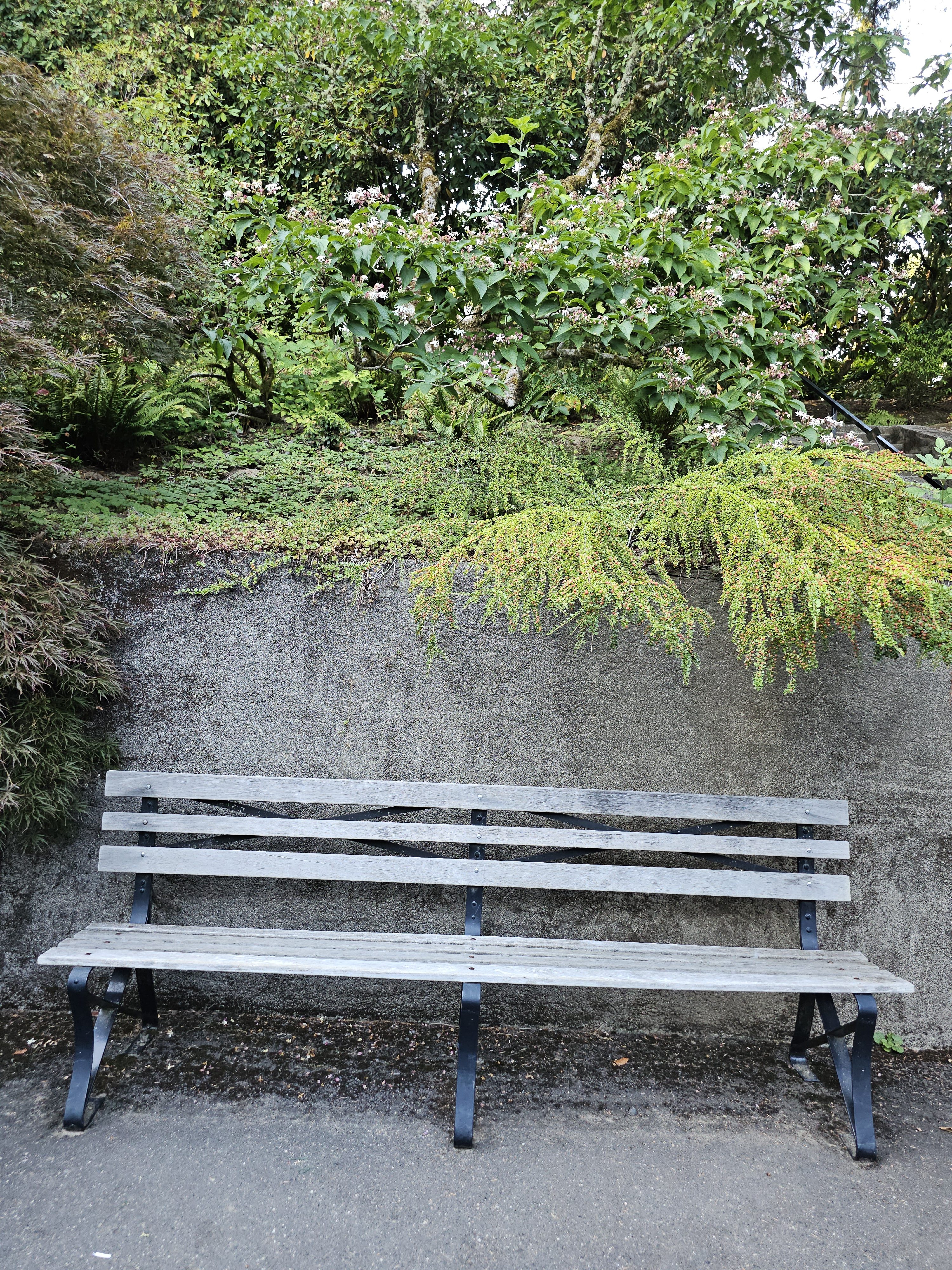 A quiet resting bench beside a stone wall with plants and flowers above it. Taken during the evening at Pittock Mansion, Portland.