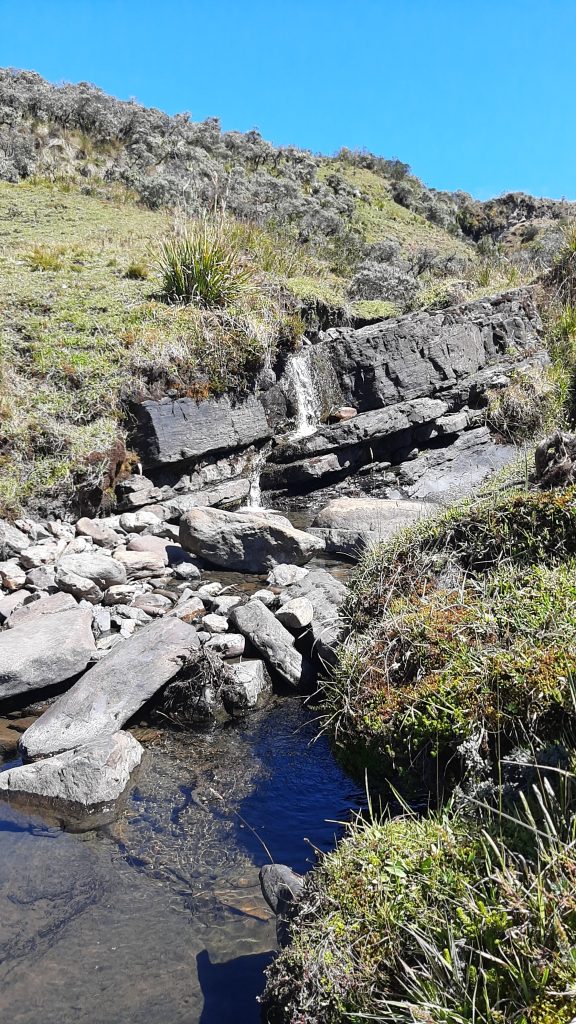 A serene landscape featuring a clear stream flowing over smooth stones and rocks.