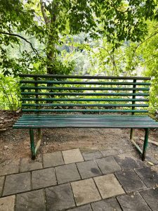 Green metal tubular bench stands on dirty and tiled ground, surrounded by lush green tree vegetation