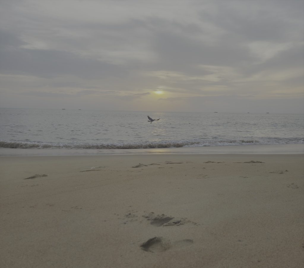 A serene beach with sandy shores and footprints, calm waves, a bird flying above, and boats on the distant horizon.