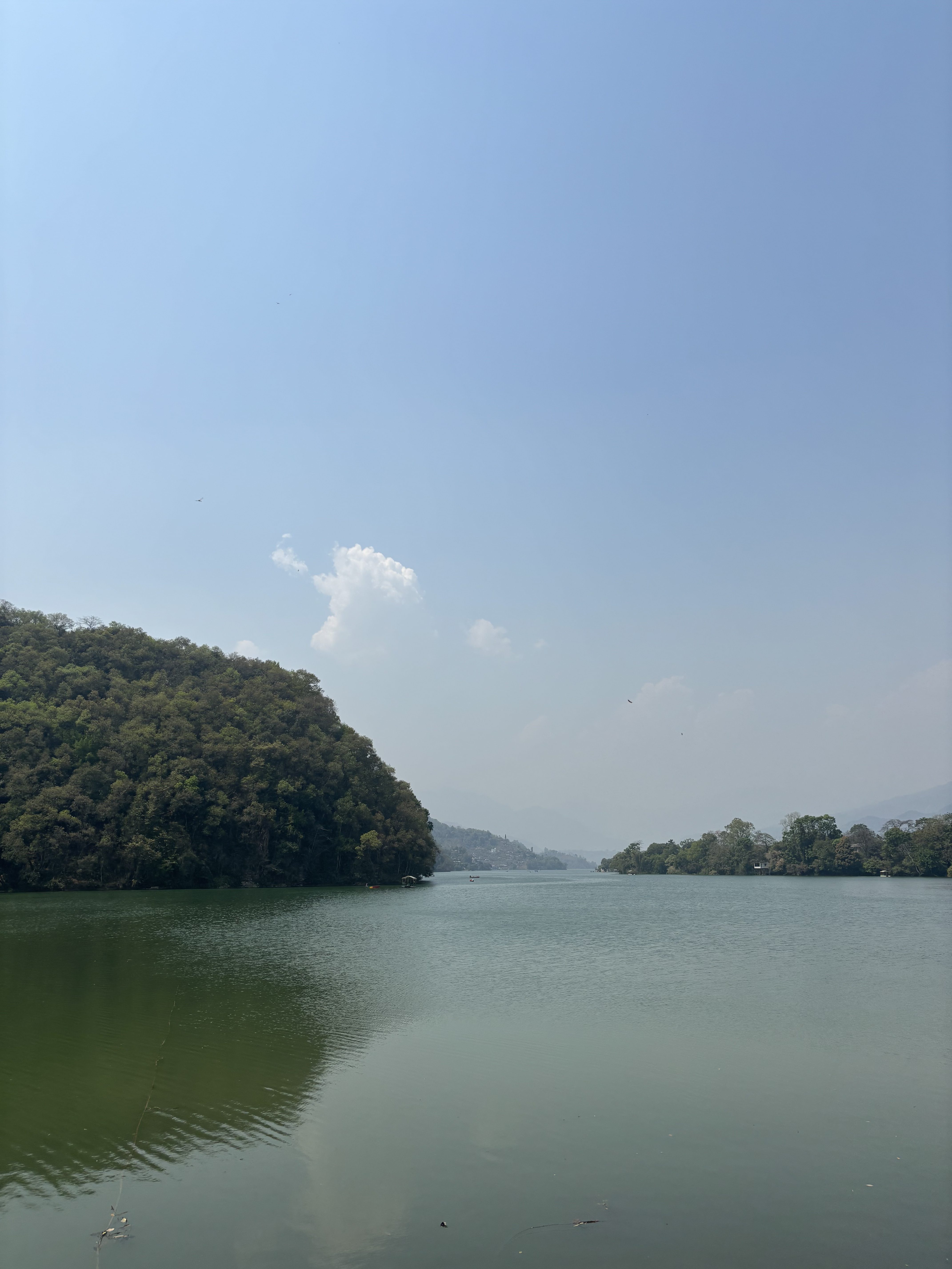 A serene landscape featuring a calm fewa lake surrounded by lush, green hills under a clear blue sky. 
