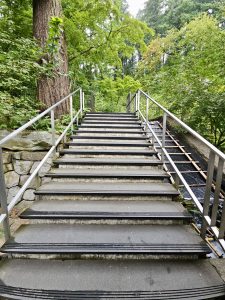 A flight of concrete steps surrounded by green trees and plants at the Portland Japanese Garden. A narrow stream of water flows alongside the stairs, adding to the peaceful forest path feel.