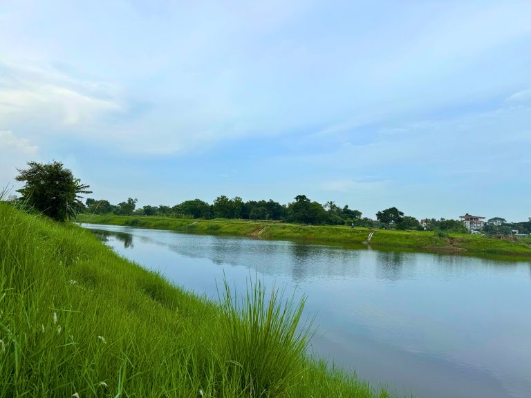 A calm lake surrounded by green grass and banana trees, with a forested area in the background under a light blue sky.