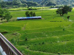 A panoramic view of lush green terraced rice fields stretches across the landscape, with a blue-roofed structure nestled among the fields.