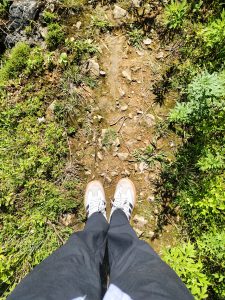 A pair of shoes is positioned on a dirt path surrounded by green grass and small plants.