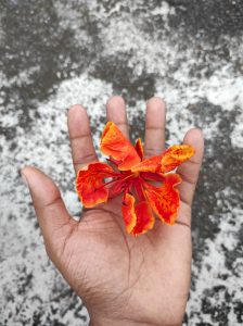 A hand with dark skin holds a single, vibrant orange-red flower from a Royal Poinciana tree, also known as a flame tree. The five-petaled flower has intricate red and orange patterns, and it rests in the open palm against a blurred, mottled gray and white surface. The hand and flower are in sharp focus, while the background is softly blurred.