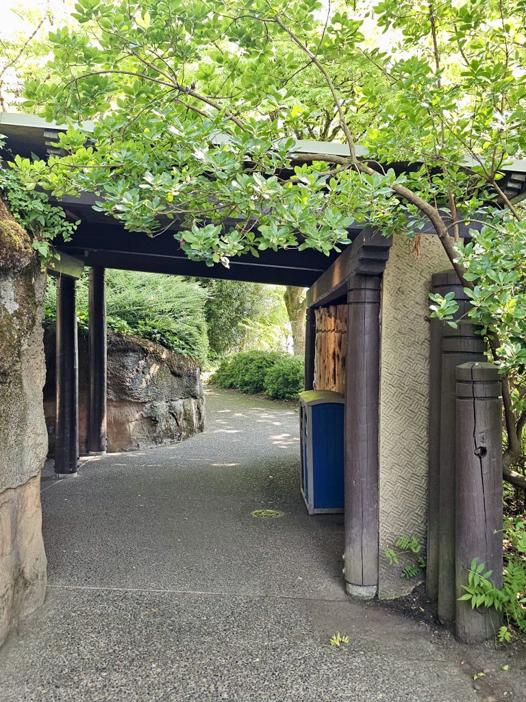Leafy walkway inside Oregon Zoo, Portland, lined with ferns (Polystichum munitum) and native greenery.