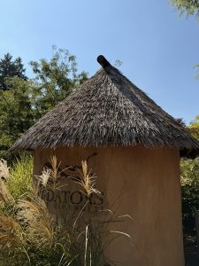 A round, clay-walled hut with a thatched roof and "Predators of Serengeti" text on the wall. Captured in bright daylight at the Oregon Zoo, Portland. 