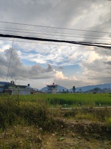 A scenic view of a rural landscape featuring a green field of rice, with a backdrop of mountains under a partly cloudy sky. 