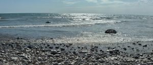 A rocky shoreline in the foreground, some larger rocks in the low surf. All of it bright with reflected sunlight. Lake Huron, Michigan.
