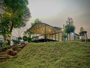 A cozy, modern cabin set on a grassy hillside, surrounded by trees and potted flowers.