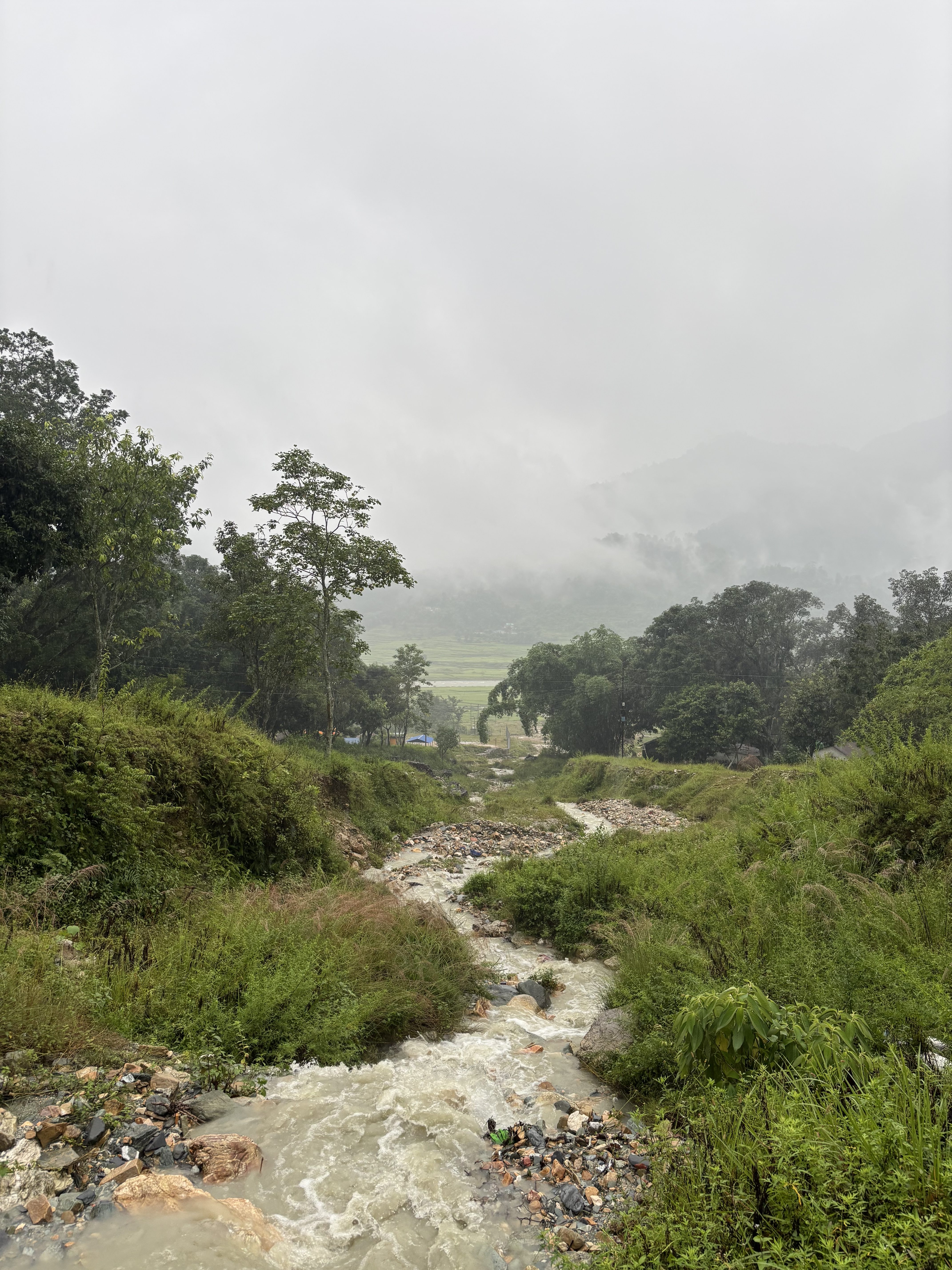 A winding stream flows through a lush green landscape, bordered by scattered rocks and vegetation. The background features misty mountains partially obscured by fog, with a field visible in the far distance. The weather appears cloudy and overcast, creating a tranquil and serene atmosphere.