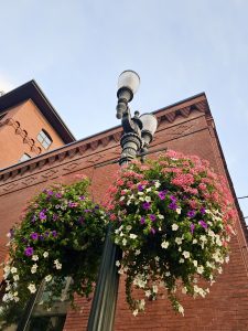 Street lamp decorated with hanging flower baskets filled with pink, purple, and white blooms beside a red brick building, taken from downtown Portland. 