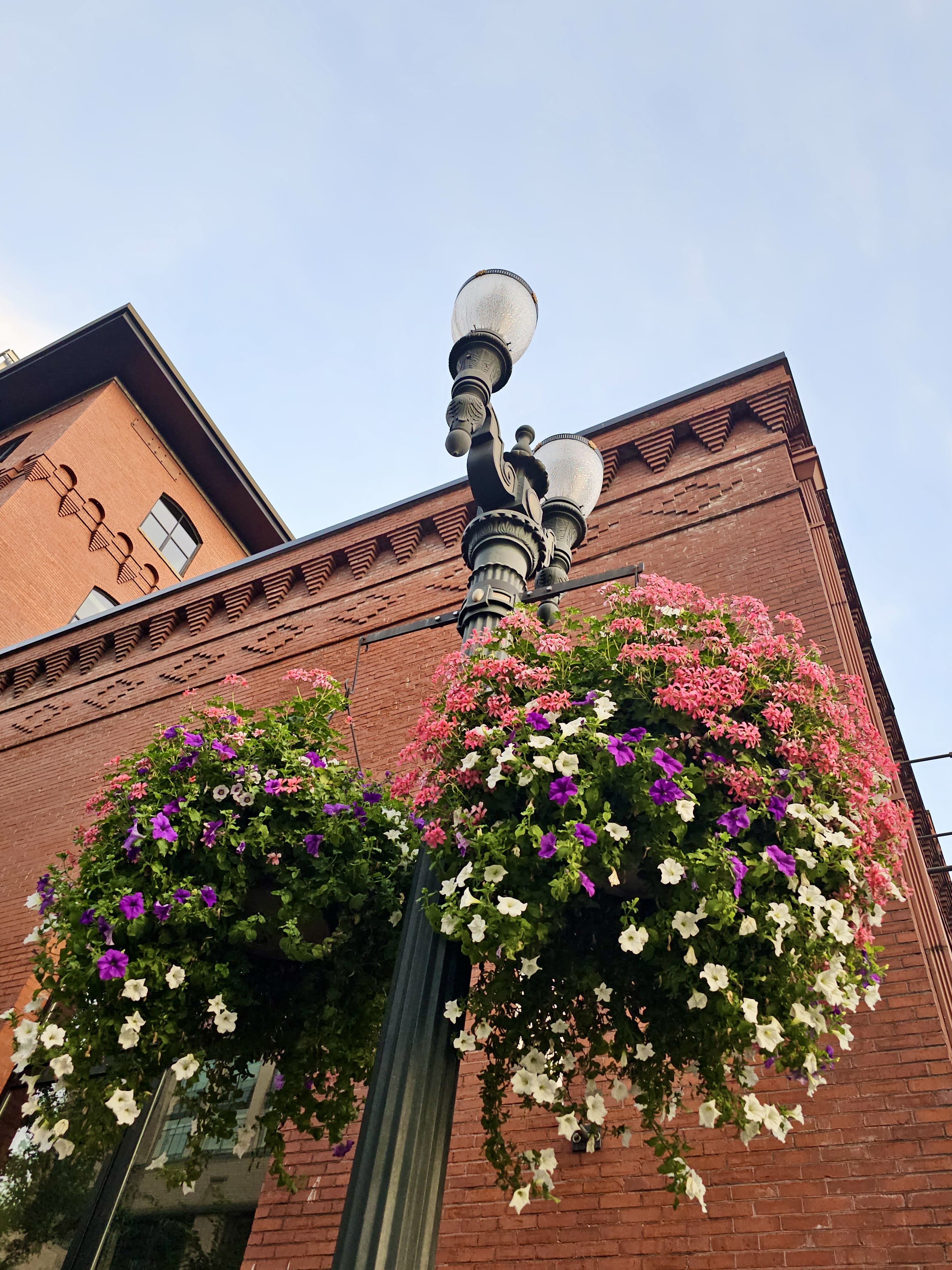 Street lamp decorated with hanging flower baskets filled with pink, purple, and white blooms beside a red brick building, taken from downtown Portland. 