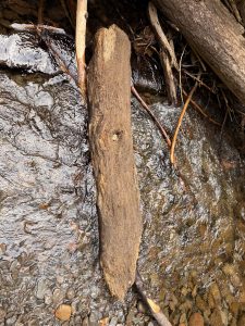 A piece of driftwood was stuck in the shallow creek, surrounded by smooth rocks and rippling water, captured in the Columbia River Gorge National Scenic Area, Oregon. 