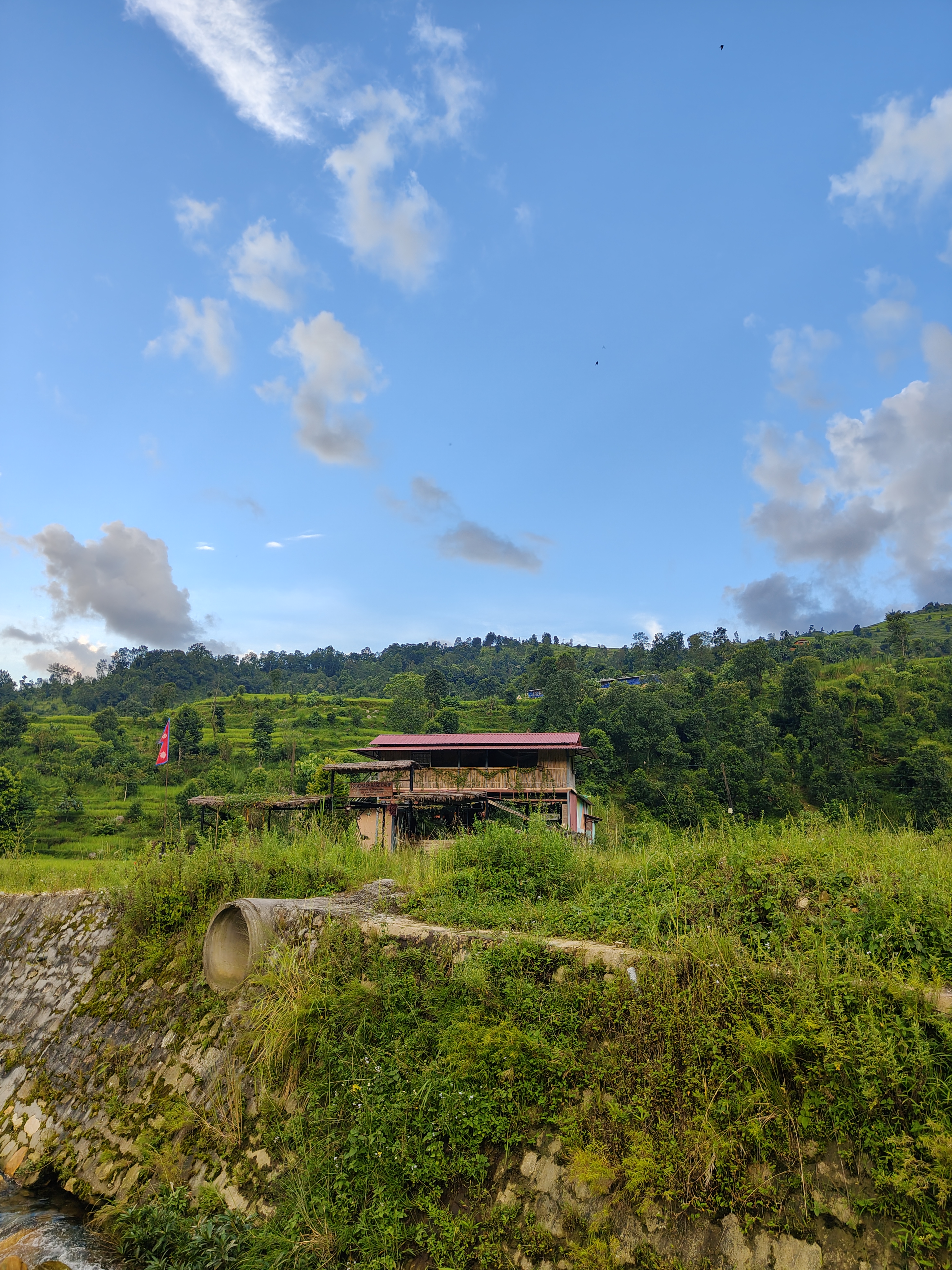 A rural landscape featuring a wooden house with a red roof, surrounded by lush green hills and trees.