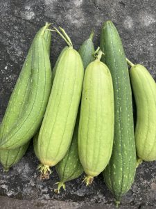 

Fresh green luffa gourds, light and dark, arranged closely on a dark textured surface.