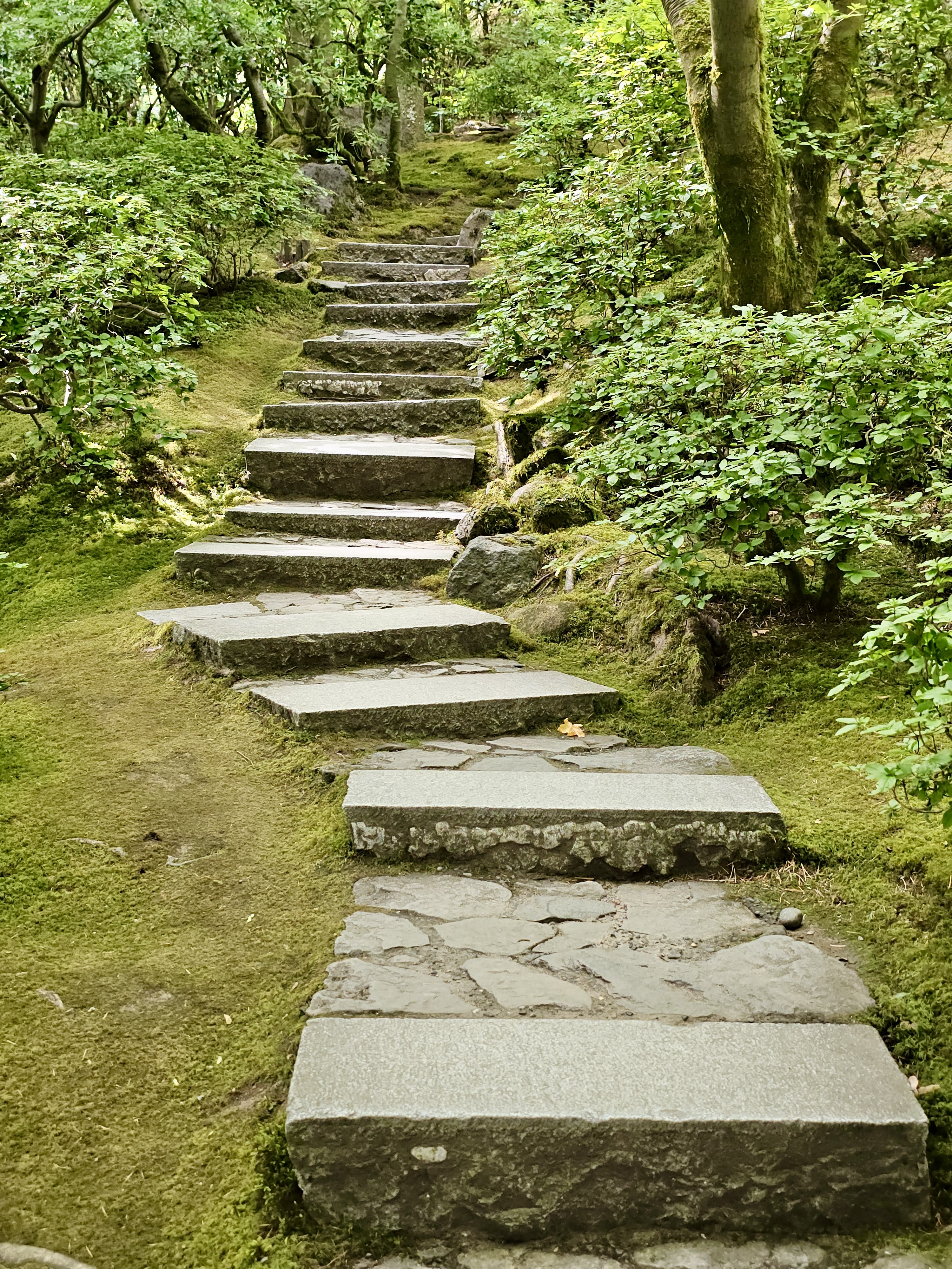 Gently rising stone steps wind through green moss and shrubs at the Portland Japanese Garden, inviting a quiet walk deeper into the serene landscape.