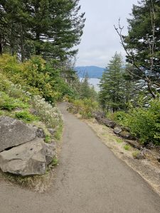 A forest hiking trail gently curving through lush vegetation, with rocks and wildflowers in the foreground and tall conifers framing the path, taken on the Angel’s Rest Trail, overlooking the Columbia River Gorge, in Oregon. 