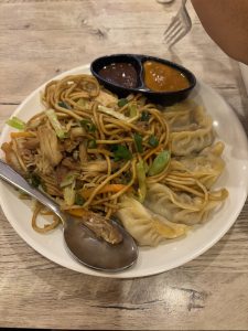 A plate of Chinese-style food featuring stir-fried noodles mixed with shredded chicken, green onions, and vegetables, served alongside steamed dumplings. 