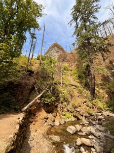 A scenic view of a rocky hilltop with a burned tree at the peak, surrounded by green trees and a stream below. Columbia River Gorge National Scenic Area, Oregon. 