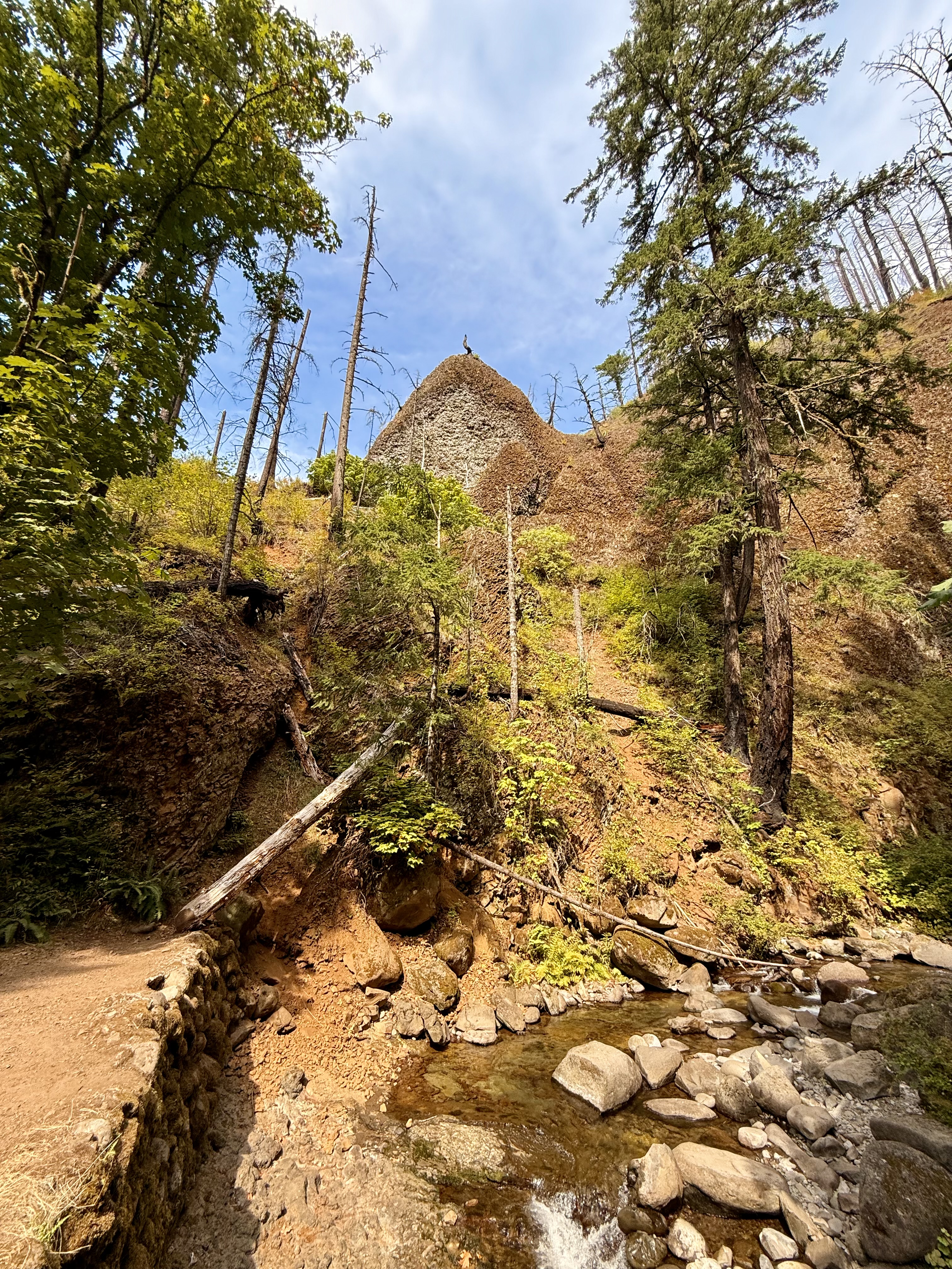 A scenic view of a rocky hilltop with a burned tree at the peak, surrounded by green trees and a stream below. Columbia River Gorge National Scenic Area, Oregon.