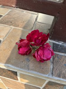 A close-up view of bright pink flowers resting on a textured, tiled surface.
