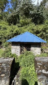 A small stone structure with a blue corrugated metal roof is surrounded by dense greenery, including various plants and ferns. 