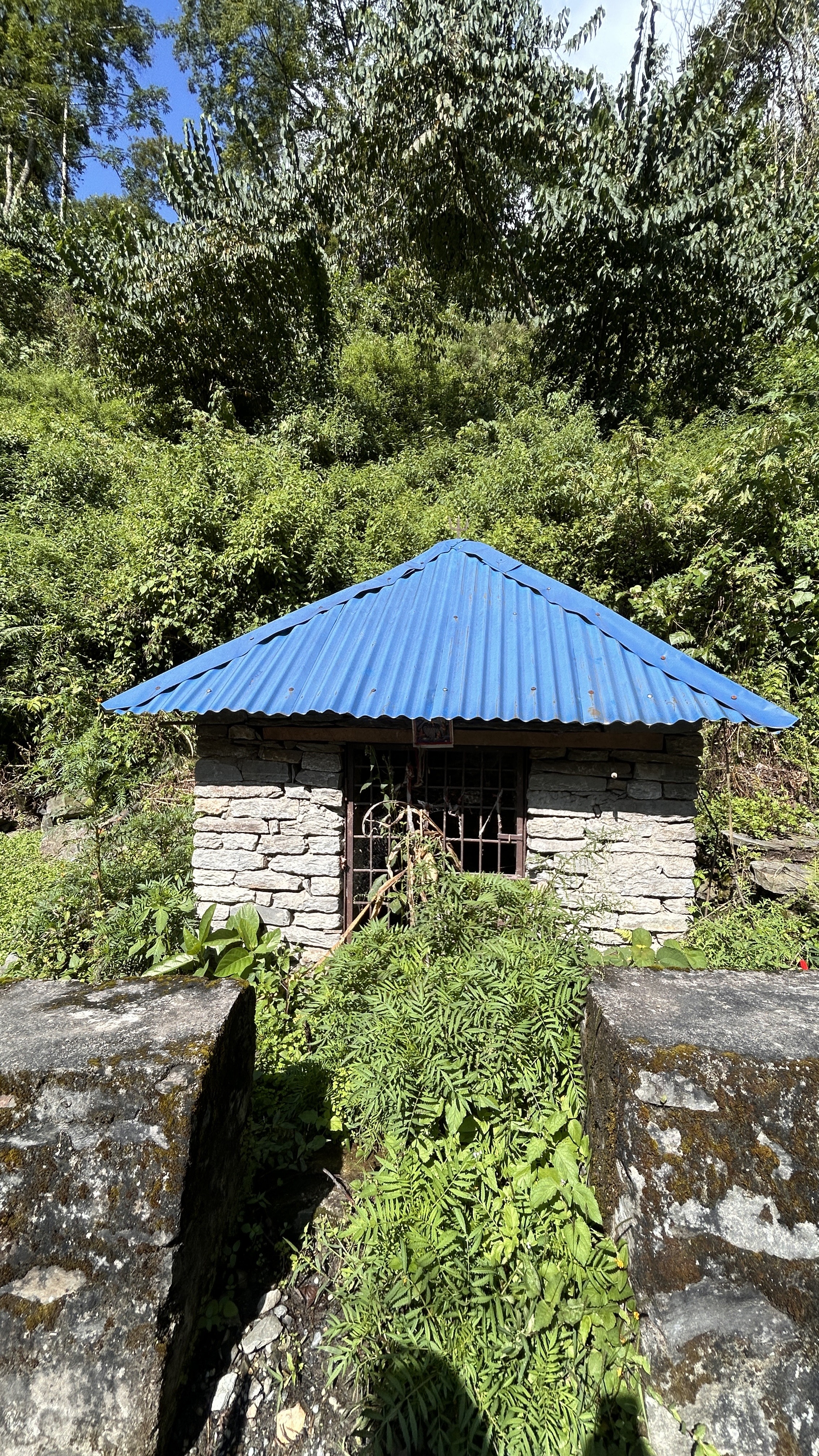 A small stone structure with a blue corrugated metal roof is surrounded by dense greenery, including various plants and ferns.