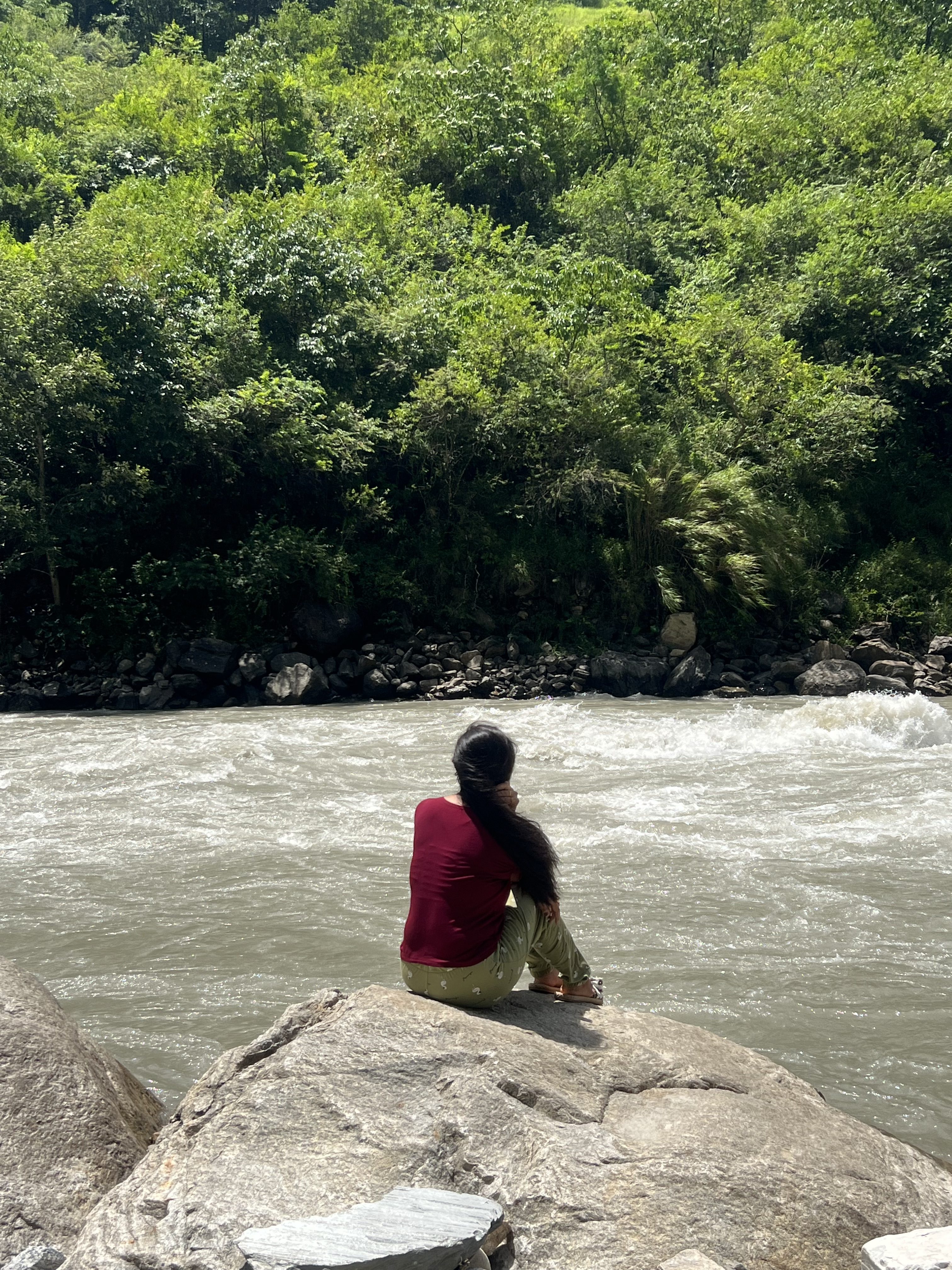 A person sitting on a large rock, looking out at a fast-flowing river surrounded by green trees.
