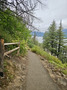 A peaceful hiking trail curves through a forested slope in the Columbia River Gorge National Scenic Area, Oregon, with views of the Columbia River below. 