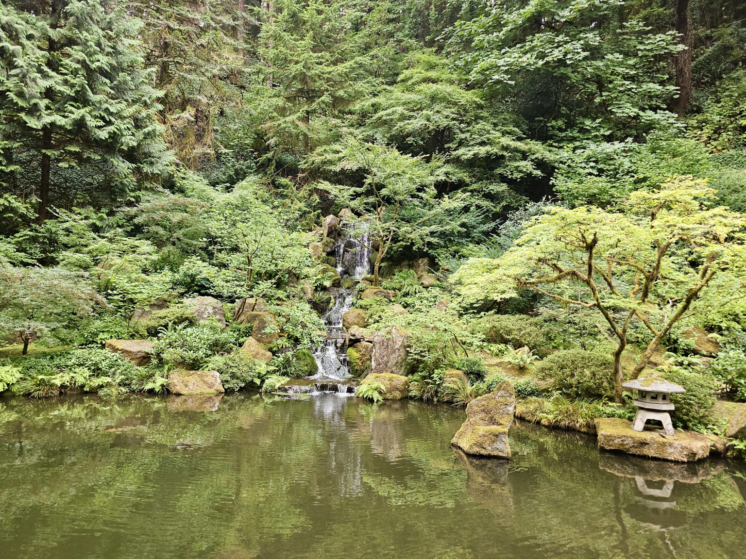 A beautiful view of a small waterfall flowing into a still pond, surrounded by lush green trees and mossy rocks. Captured at the Japanese Garden, Portland.